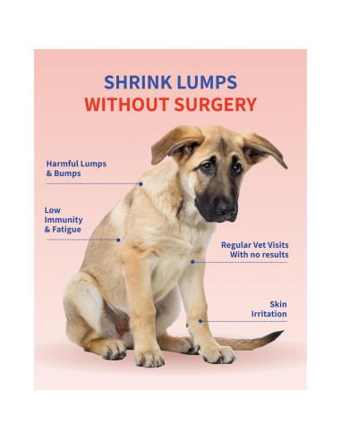 Suplemento para Perros Fifth & Fido - Hongo Cola de Pavo 100 Porciones