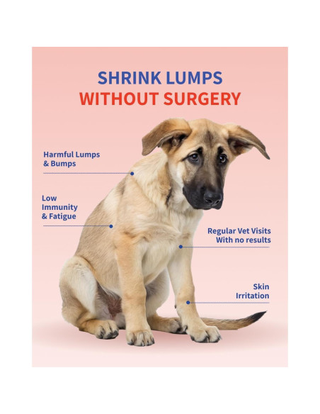 Suplemento para Perros Fifth & Fido - Hongo Cola de Pavo 100 Porciones