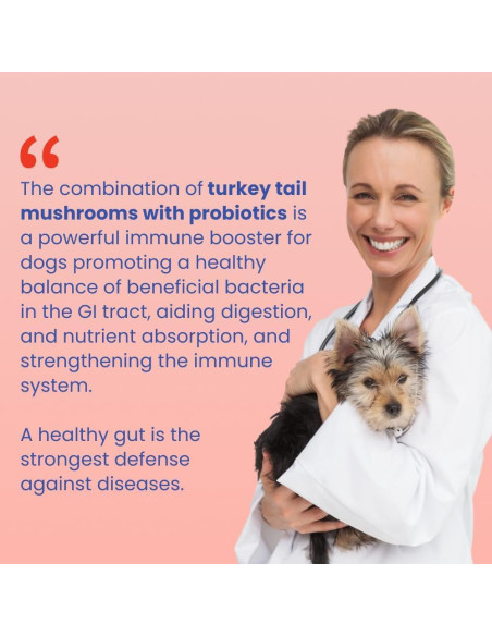 Suplemento para Perros Fifth & Fido - Hongo Cola de Pavo 100 Porciones