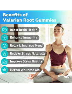 Gomitas de Raíz de Valeriana Flyrocer 60 Unidades Sabor Arándano 2