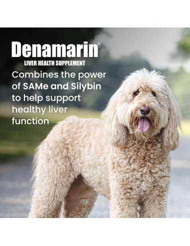 Suplemento Hepático para Perros Nutramax Denamarin 30 Tabletas