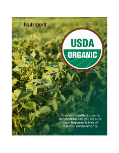 Suplemento de Lecitina de Soja Orgánica Nutrigent 800 mg - 60 Cápsulas 2