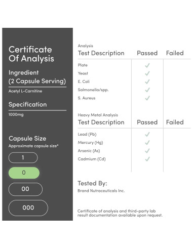 Acetil L-Carnitina 1000mg Double Wood 150 Cápsulas