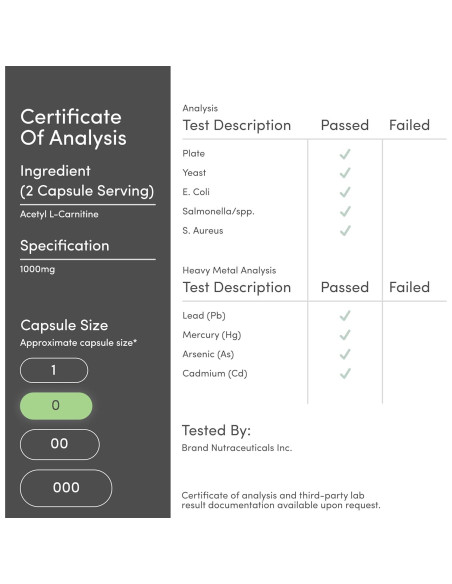 Acetil L-Carnitina 1000mg Double Wood 150 Cápsulas