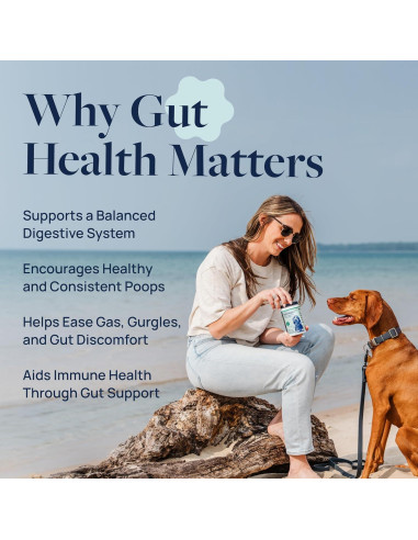 Suplemento Digestivo para Perros Veterinary Formula 60 Masticables