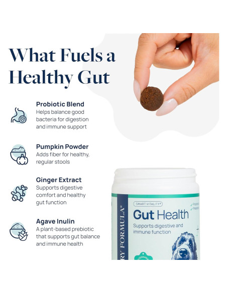 Suplemento Digestivo para Perros Veterinary Formula 60 Masticables