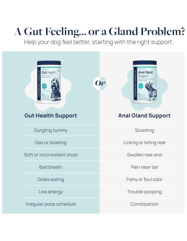 Suplemento Digestivo para Perros Veterinary Formula 60 Masticables