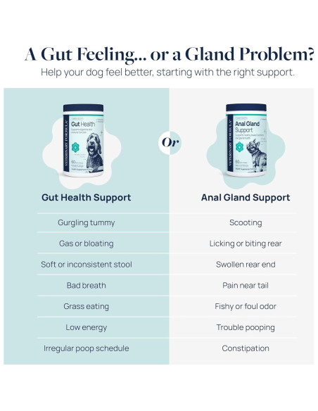 Suplemento Digestivo para Perros Veterinary Formula 60 Masticables