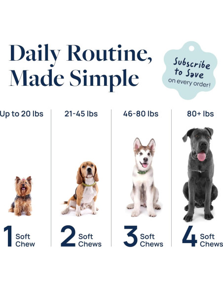 Suplemento Digestivo para Perros Veterinary Formula 60 Masticables