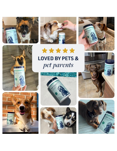 Suplemento Digestivo para Perros Veterinary Formula 60 Masticables