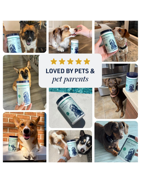 Suplemento Digestivo para Perros Veterinary Formula 60 Masticables