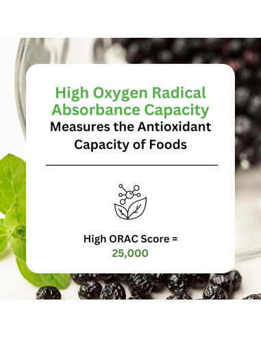 Extracto de Baya Maqui Orgánico Paradise Herbs 400 mg 60 Cápsulas