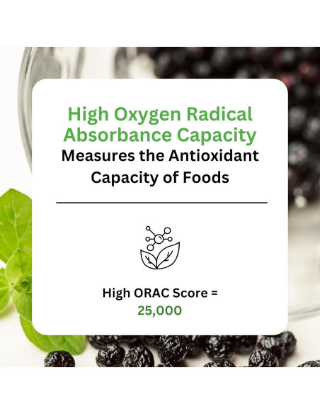 Extracto de Baya Maqui Orgánico Paradise Herbs 400 mg 60 Cápsulas