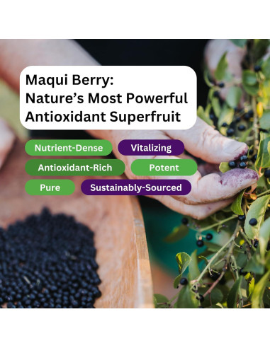 Extracto de Baya Maqui Orgánico Paradise Herbs 400 mg 60 Cápsulas