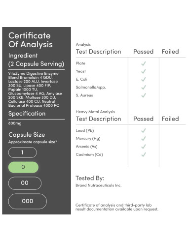 Enzimas Digestivas 800mg Double Wood - 10 Esenciales para Digestión