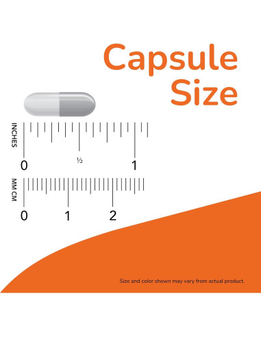 NOW Foods Suplemento Digestión Completa Lácteos 90 Cápsulas Veganas