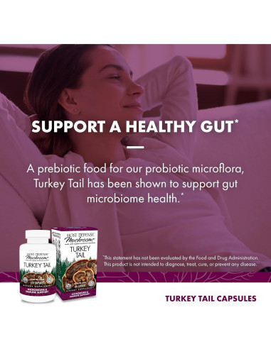 Cápsulas de Cola de Pavo Host Defense - 120 Unidades - Suplemento Digestivo e Inmunitario