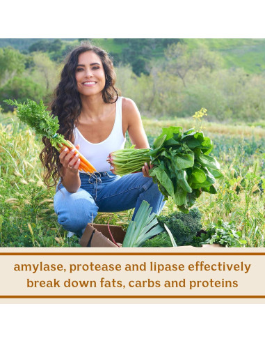 Enzimas Digestivas Solluna Kimberly Snyder 90 Cápsulas Veganas