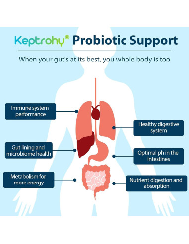 Probioticos Keptrohy 300 Mil Millones 60 Cápsulas Digestión
