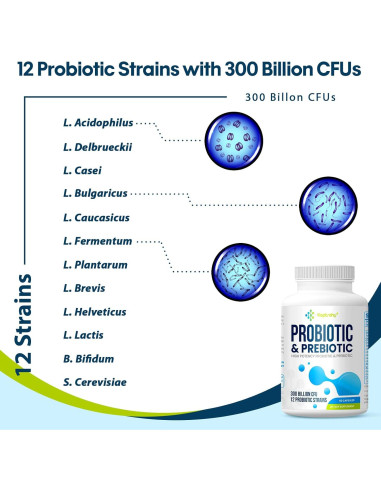 Probioticos Keptrohy 300 Mil Millones 60 Cápsulas Digestión