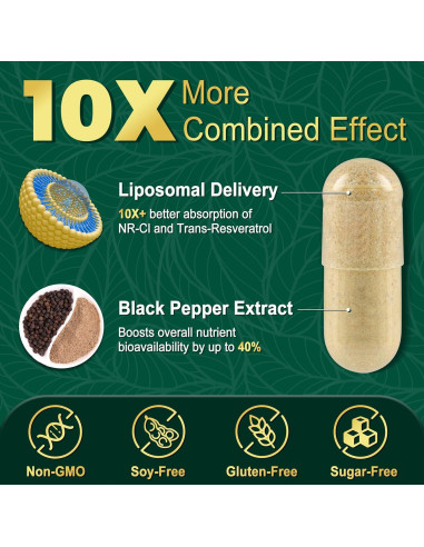 Suplemento de NAD+ NBOOCUP 1010mg - Antienvejecimiento 90 Cápsulas