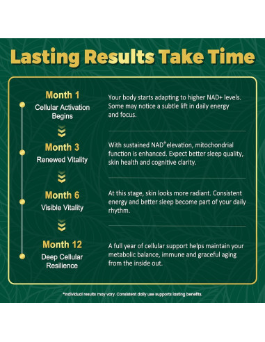 Suplemento de NAD+ NBOOCUP 1010mg - Antienvejecimiento 90 Cápsulas