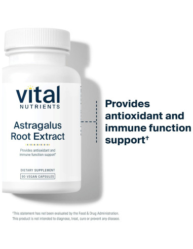 Extracto de Raíz de Astrágalo Vital Nutrients 300 mg - 90 Cápsulas