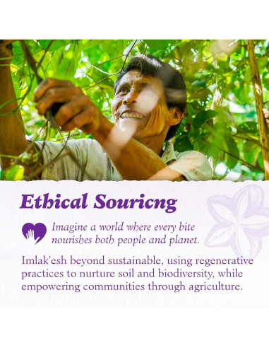 Nueces Sacha Inchi Imlakesh Organics 396g Tarro Metal