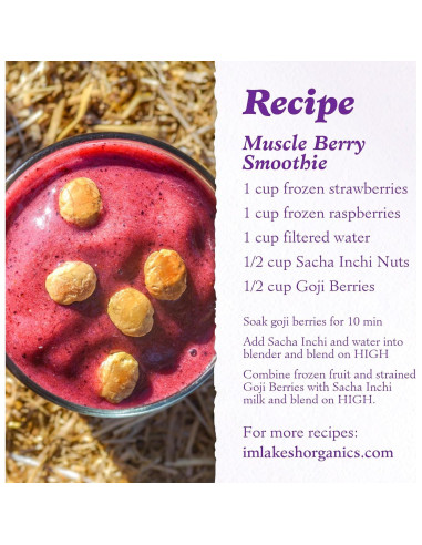 Nueces Sacha Inchi Imlakesh Organics 396g Tarro Metal