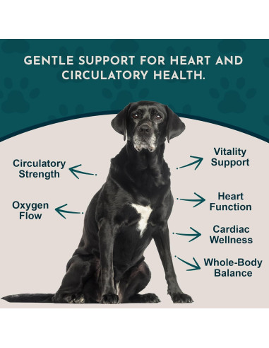 Suplemento Cardiovascular para Perros y Gatos Animal Essentials 30 ml