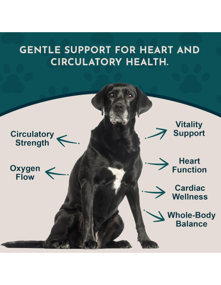 Suplemento Cardiovascular para Perros y Gatos Animal Essentials 30 ml