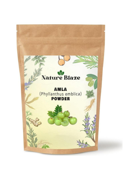 Amla Pura 200g - Grosella Espinosa - Aumenta Inmunidad