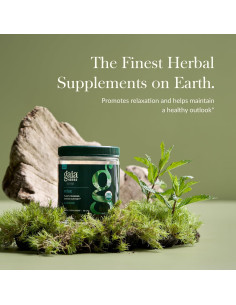 Gomas Relajantes Gaia Herbs - 45 Gomas de Calma Natural 2