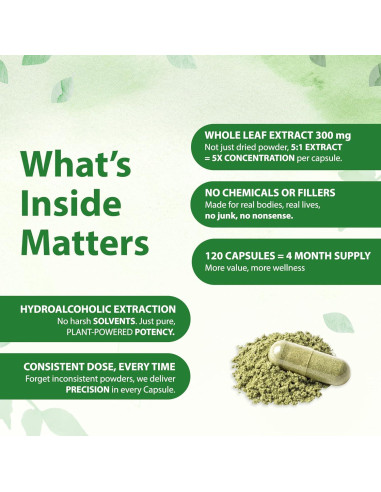 Extracto de Albahaca Tulsi Cosyneelife 300mg - 120 Cápsulas