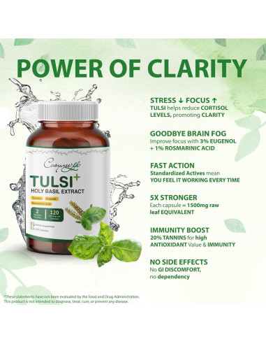 Extracto de Albahaca Tulsi Cosyneelife 300mg - 120 Cápsulas