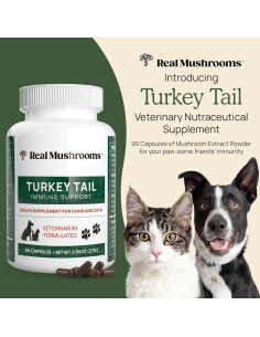 Cápsulas de Hongo Cola de Pavo Real Mushrooms 90 ct 2