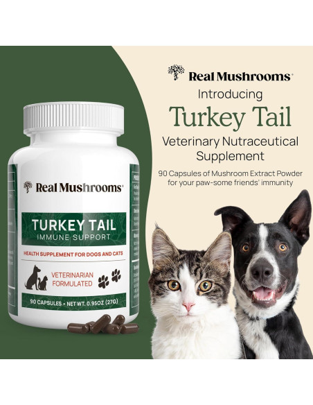 Cápsulas de Hongo Cola de Pavo Real Mushrooms 90 ct