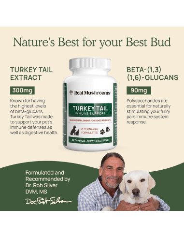 Cápsulas de Hongo Cola de Pavo Real Mushrooms 90 ct