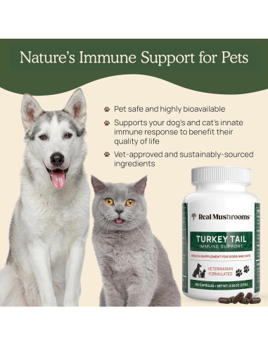 Cápsulas de Hongo Cola de Pavo Real Mushrooms 90 ct