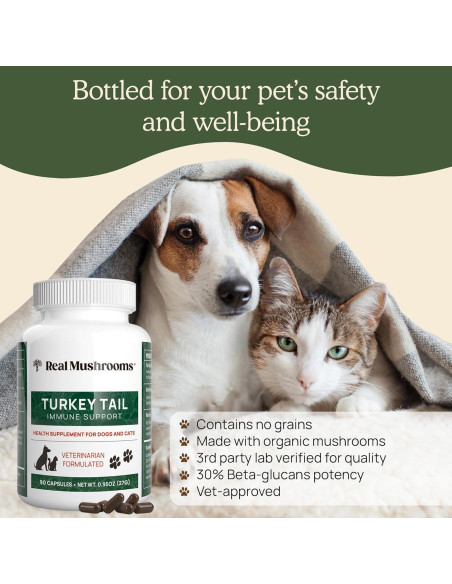 Cápsulas de Hongo Cola de Pavo Real Mushrooms 90 ct