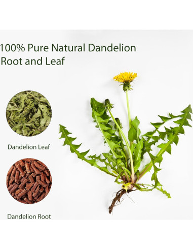 Té Herbal Natural Yetypy de Diente de León - 50 Bolsitas