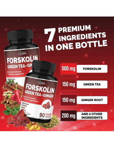 Suplemento de Forskolina Cadane con Té Verde y Jengibre - 90 Cápsulas