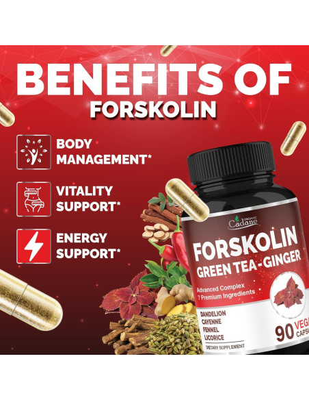 Suplemento de Forskolina Cadane con Té Verde y Jengibre - 90 Cápsulas