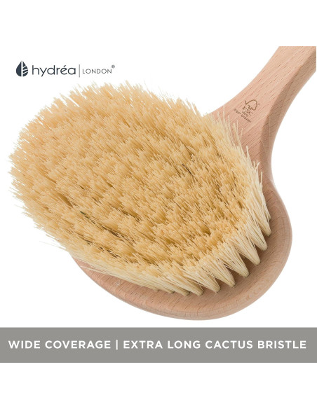 Cepillo Corporal Detox Hydréa London con Cerdas de Cactus