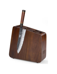 Bloque Magnético para Cuchillos HOSHANHO 25.4x22.9cm, Acero Japonés