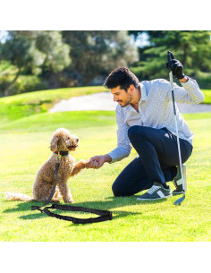 Cinturón de Asiento para Perros Zhizaiql para Carro de Golf 2