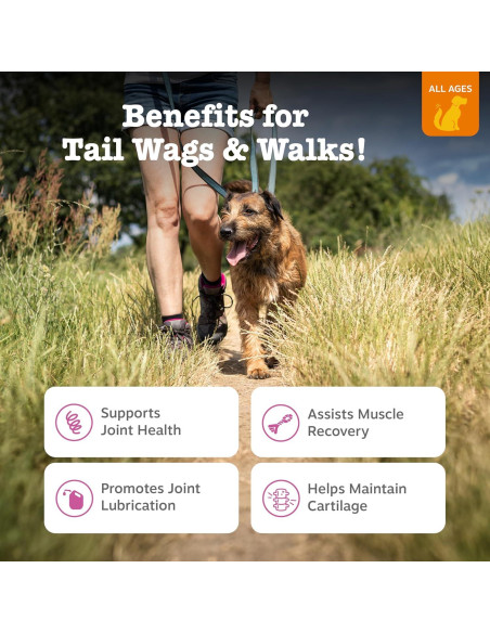 Suplemento Articular para Perros Zesty Paws 50 Masticables Tocino