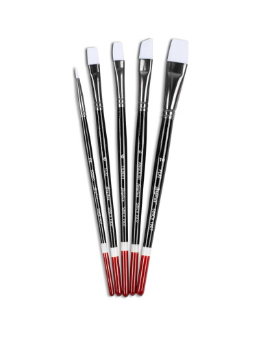 Juego de Pinceles Angelus 5 Piezas para Acrílicos