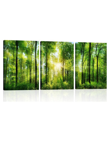 Arte de Pared del Bosque HLJ - 3 Paneles Lienzo 50x75 cm