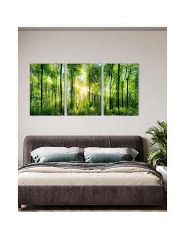 Arte de Pared del Bosque HLJ - 3 Paneles Lienzo 50x75 cm